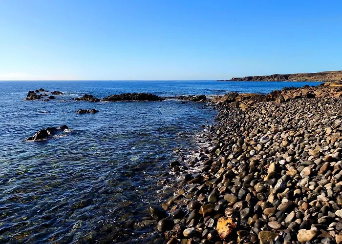 El Cedro * Santa-Cruz de Ténérife